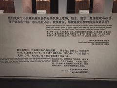 -侵华日军南京大屠杀遇难同胞纪念馆