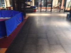 -圣·阿列克谢耶夫教堂