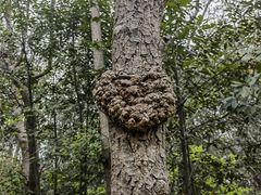 -良渚文化村