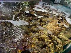 -蟹之国·精品蟹料理(极地店)