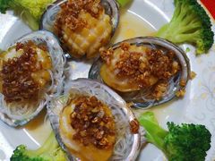 -好孕妈妈月嫂(哈尔滨总店)
