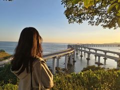 -星海湾跨海大桥