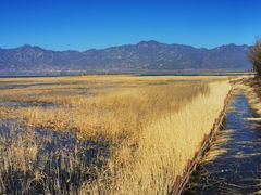 -野鸭湖国家湿地公园