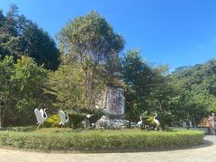 -广州白江湖森林公园