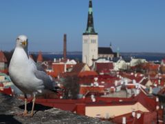 景点-塔林历史中心