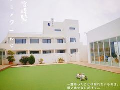 -海岛日记(养马岛店)