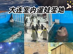 -大连圣亚海洋世界