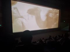 -敦煌莫高窟数字展示中心