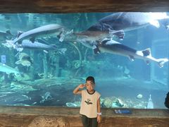 -华夏文旅海洋公园