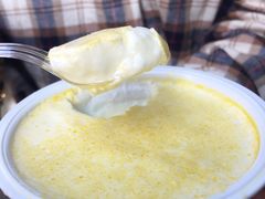 老酸奶-德禄酸奶(莫家街店)