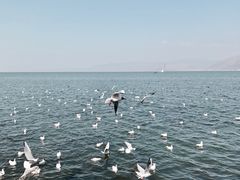 -大理无舍度假酒店