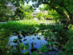 -上海醉白池公园