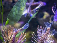 -太平洋海底世界