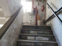 -水丰路鸡蛋饼