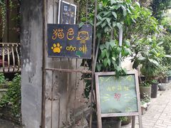 -猫色咖啡·猫咖