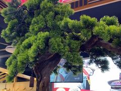 -集草轩·重庆麻辣烤鱼(西湖道店)