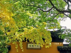 -西园戒幢律寺