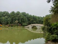 -铁山坪森林公园