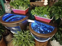 -相遇·川湘融合菜(金坛吾悦广场店)
