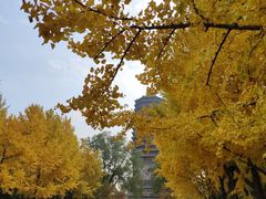 -玲珑塔公园