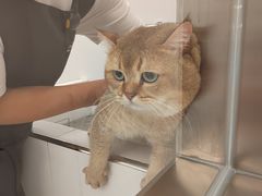 -comecome来吧宠物(奥克斯中心店)