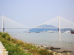 -芒洲湿地公园
