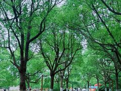 -上海海湾国家森林公园