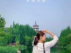 -桃花岛公园