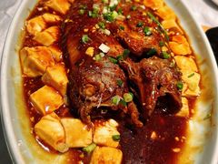 黄鱼烧豆腐-玉玲珑(陆家嘴店)