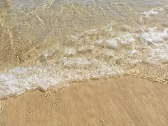 -亚龙湾海底世界