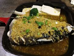 -青叶202都市餐厅(迪诺水镇店)