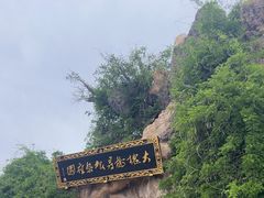 -大槐树寻根祭祖园