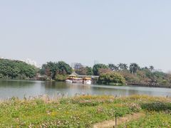 -海珠湖公园