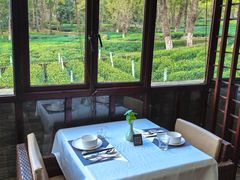 -野蔓果·山野菜(西湖景区·龙井茶田店)