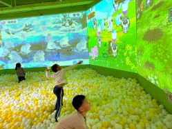 点击看大图 -宝燕乐园(闵行旗舰店)