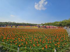 -北陵公园