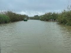-泗洪洪泽湖湿地景区