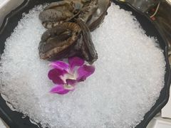 -帝皇海海鲜豆捞(桐泾商务广场店)