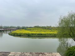 -乌村