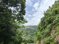 -东明山森林公园