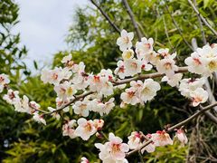 -白塘生态植物园