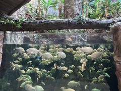 -南昌融创海世界