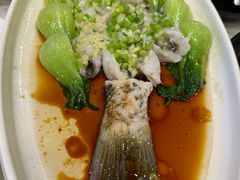 -欢乐海岸美食联盟
