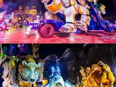 -上海海昌海洋公园