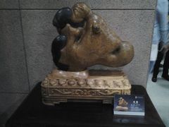 android_upload_pic-中华赏石园