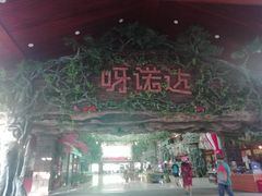 -呀诺达热带雨林