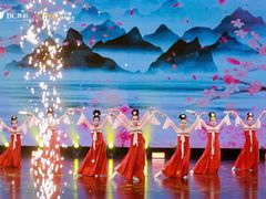 -DC少儿舞蹈培训中心(人民桥店)