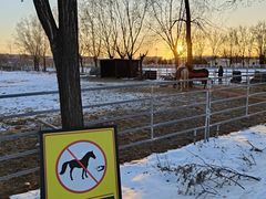 -北京群众马术培训基地