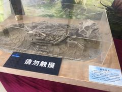 -中国第四纪冰川遗迹陈列馆