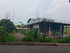 -白鹭湾湿地公园